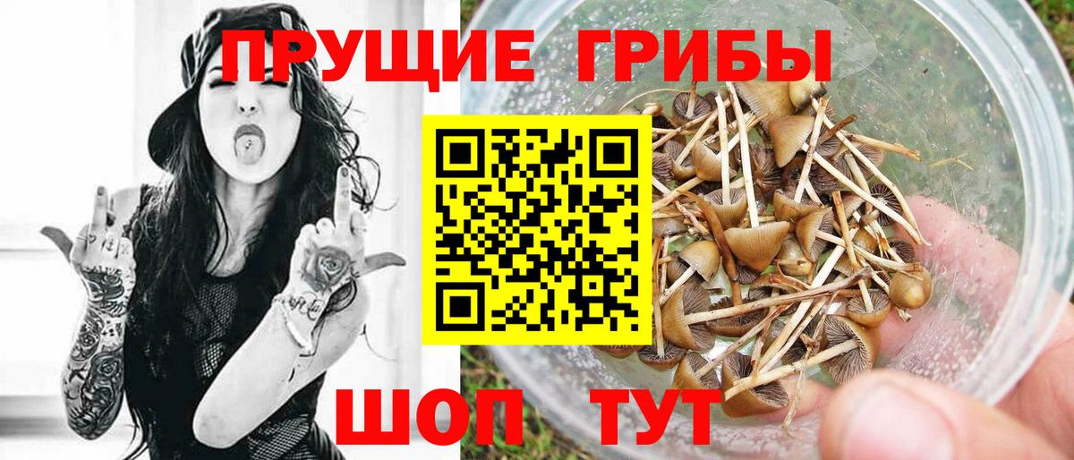 Галлюциногенные грибы Magic Shrooms  Вход с VPN  Людиново 